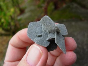 Desert Roses from Peru