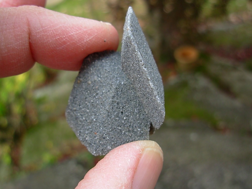 Desert Roses from Peru