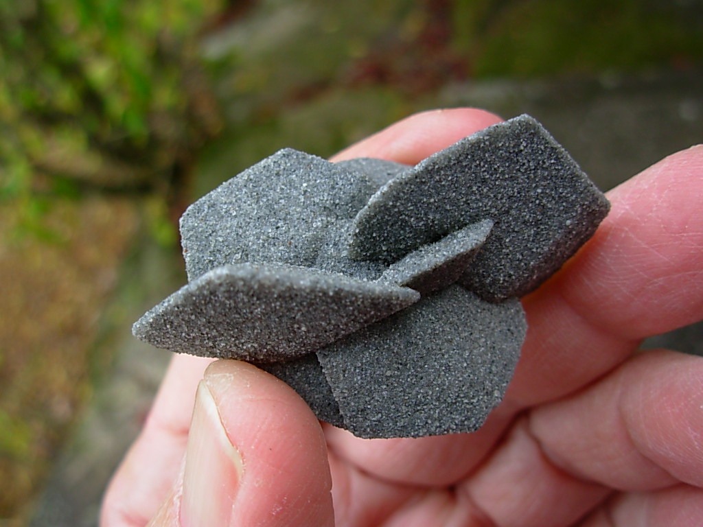 Desert Roses from Peru