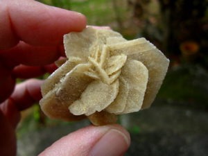 Selenite_Rose_Dhahran_Saudi_Arab_52