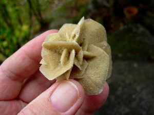 Selenite_Rose_Dhahran_Saudi_Arab_58