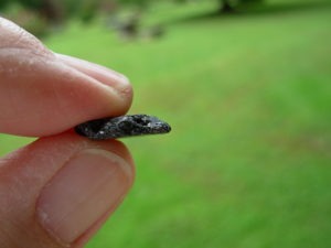 Single Rare Alexandrite Specimen from Brazil