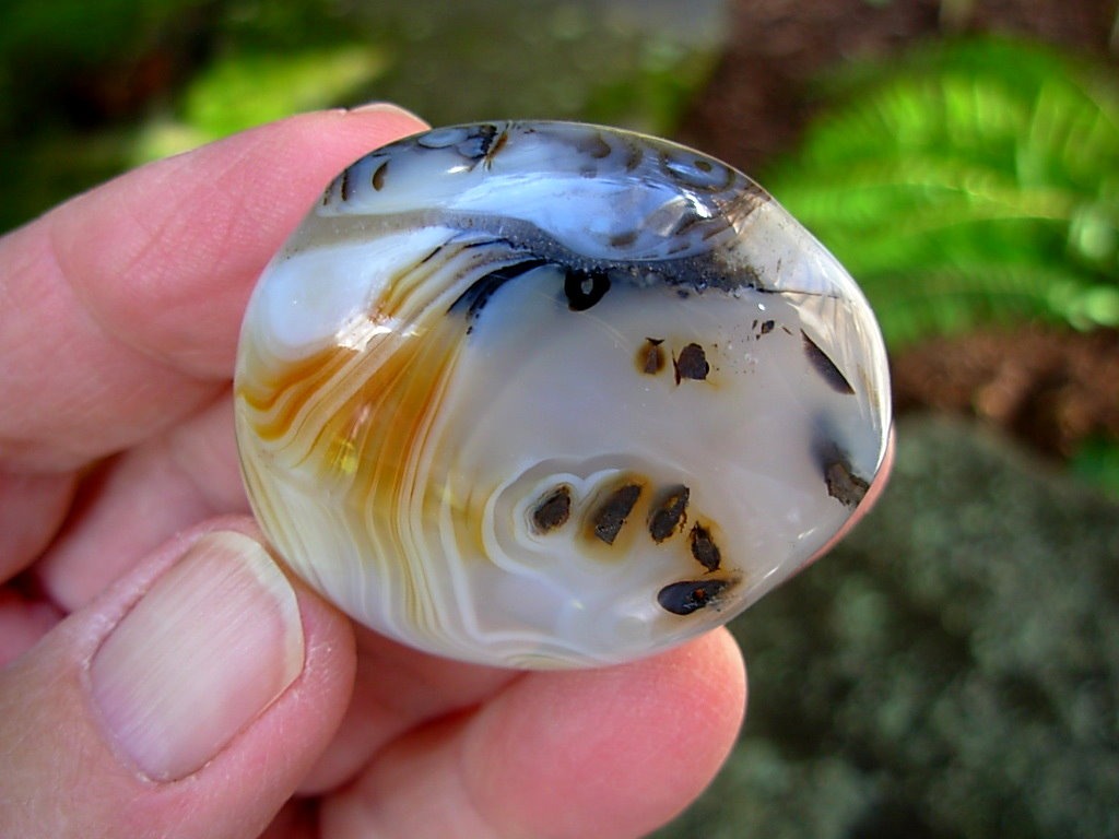 Small Free Form Picasso Agate