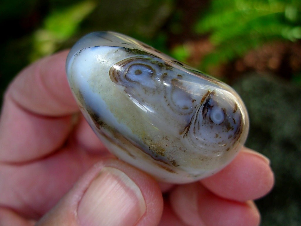 Small Free Form Picasso Agate