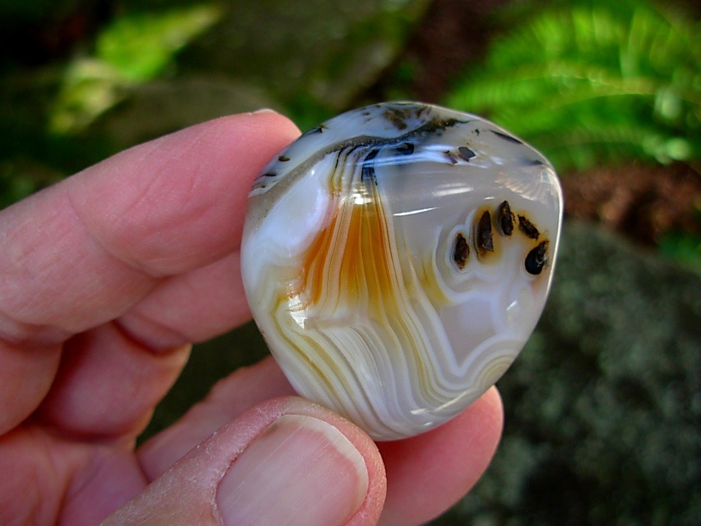 Small Free Form Picasso Agate