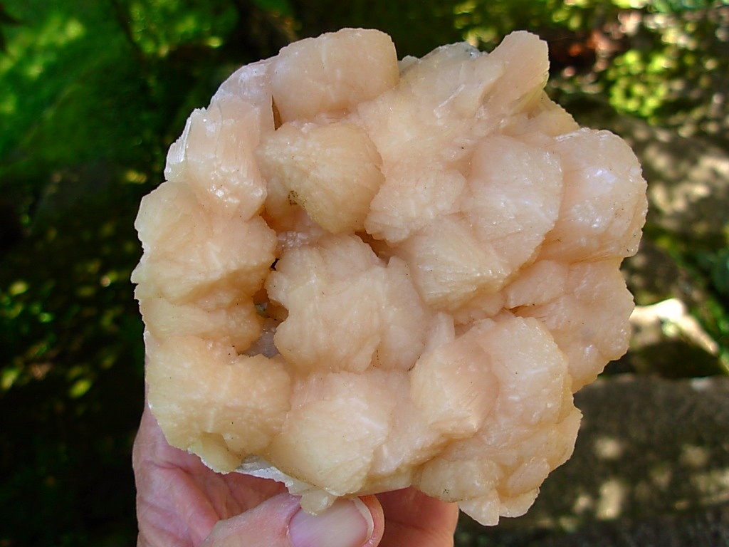 Large Cabinet Peach Stilbite Sheafs from Aurangabad, India