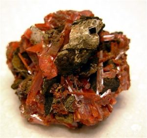 Stunning Crocoite Display from Dundas District, Tasmania, Australia