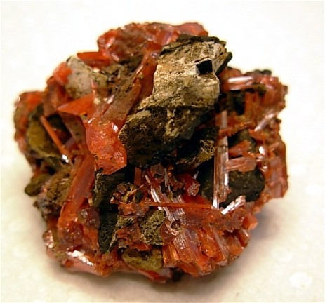 Stunning Crocoite Display from Dundas District, Tasmania, Australia