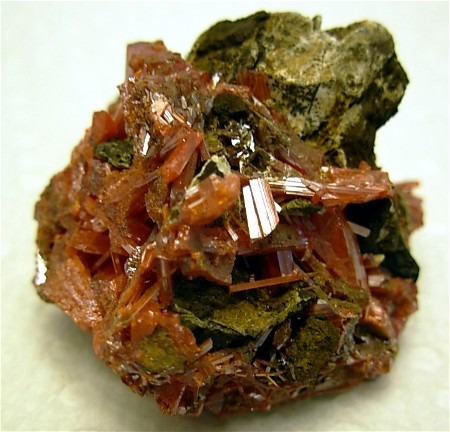 Stunning Crocoite Display from Dundas District, Tasmania, Australia