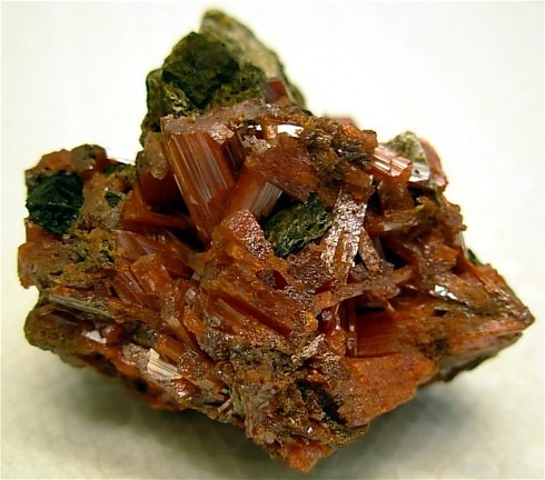 Stunning Crocoite Display from Dundas District, Tasmania, Australia