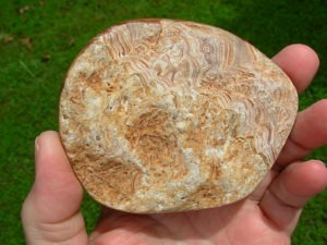 Stunning Wave Dolomite Polished Freeform Nodule