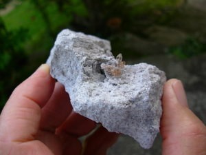 Topaz Crystals on Rhyolite from Thomas Range, Utah
