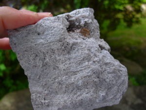 Topaz Crystals on Rhyolite from Thomas Range, Utah