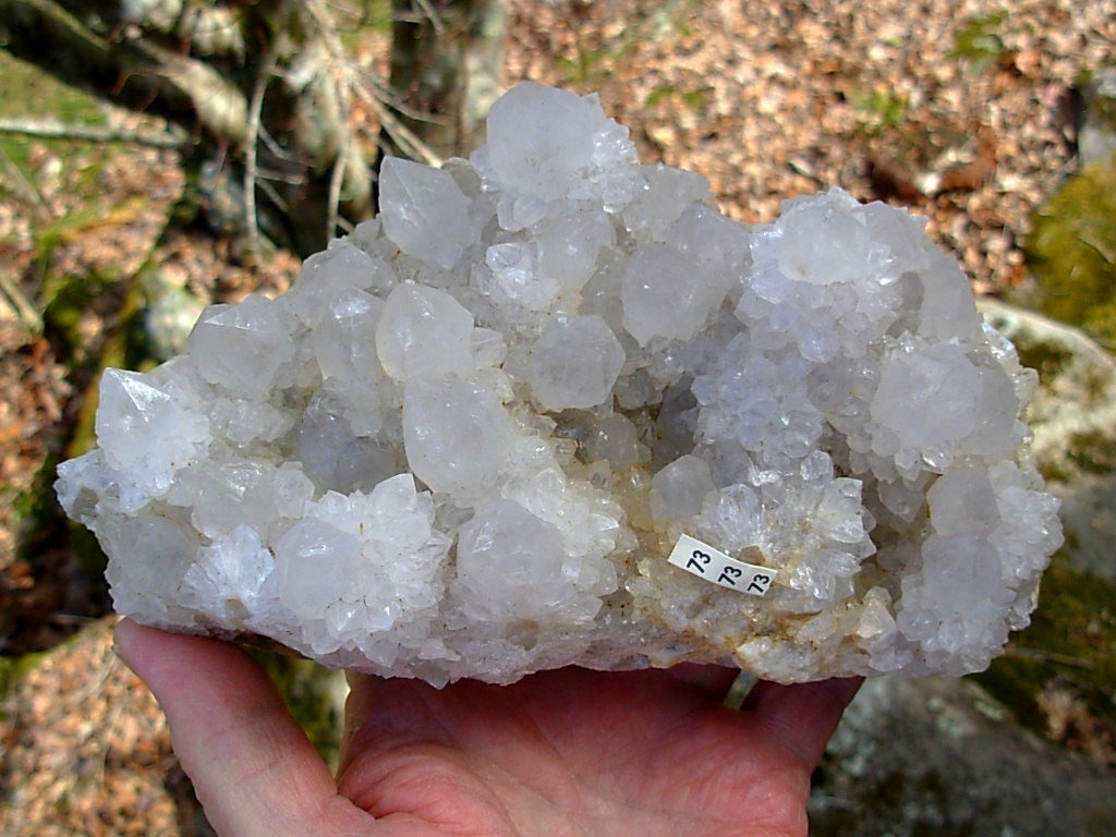 Exceptional Large Cabinet White Spirit Cactus Quartz Cluster from KwaNdebele South Africa