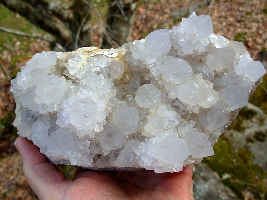 Exceptional Large Cabinet White Spirit Cactus Quartz Cluster from KwaNdebele South Africa