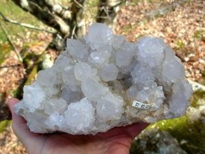 Exceptional Large Cabinet White Spirit Cactus Quartz Cluster from KwaNdebele South Africa
