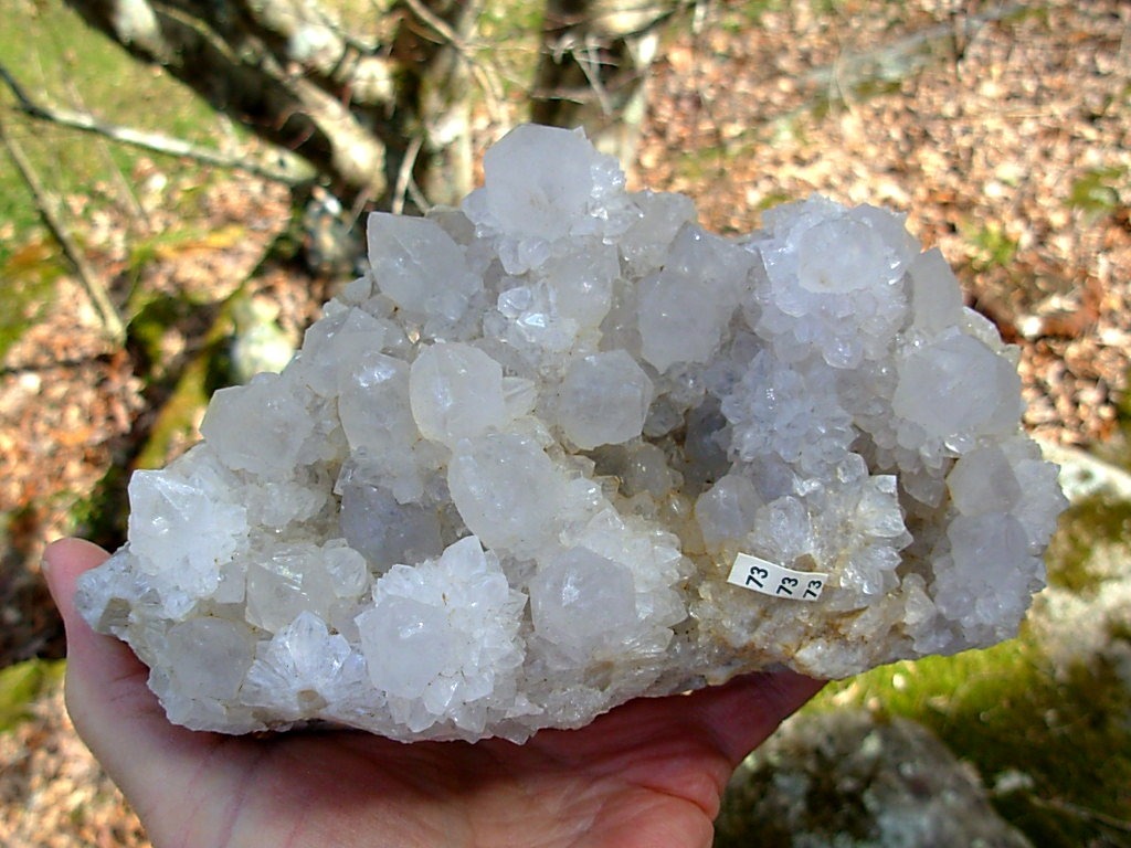 Exceptional Large Cabinet White Spirit Cactus Quartz Cluster from KwaNdebele South Africa
