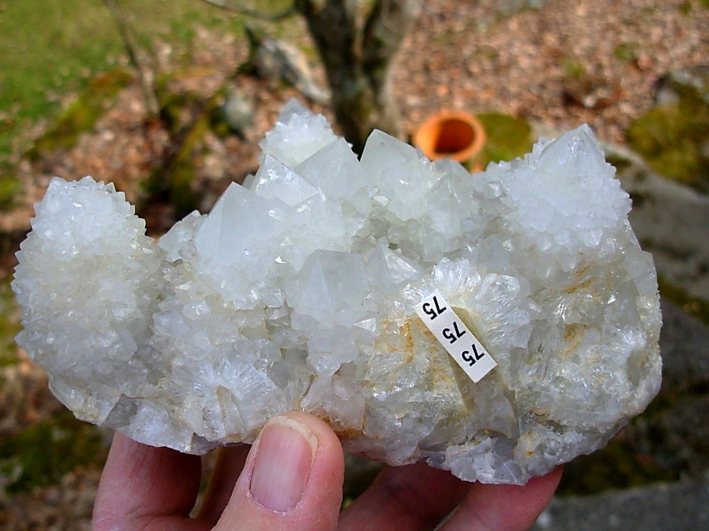 Desirable Large Cabinet White Spirit Cactus Quartz Cluster from KwaNdebele South Africa