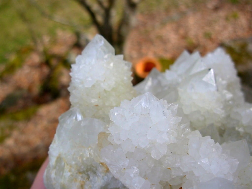 Desirable Large Cabinet White Spirit Cactus Quartz Cluster from KwaNdebele South Africa