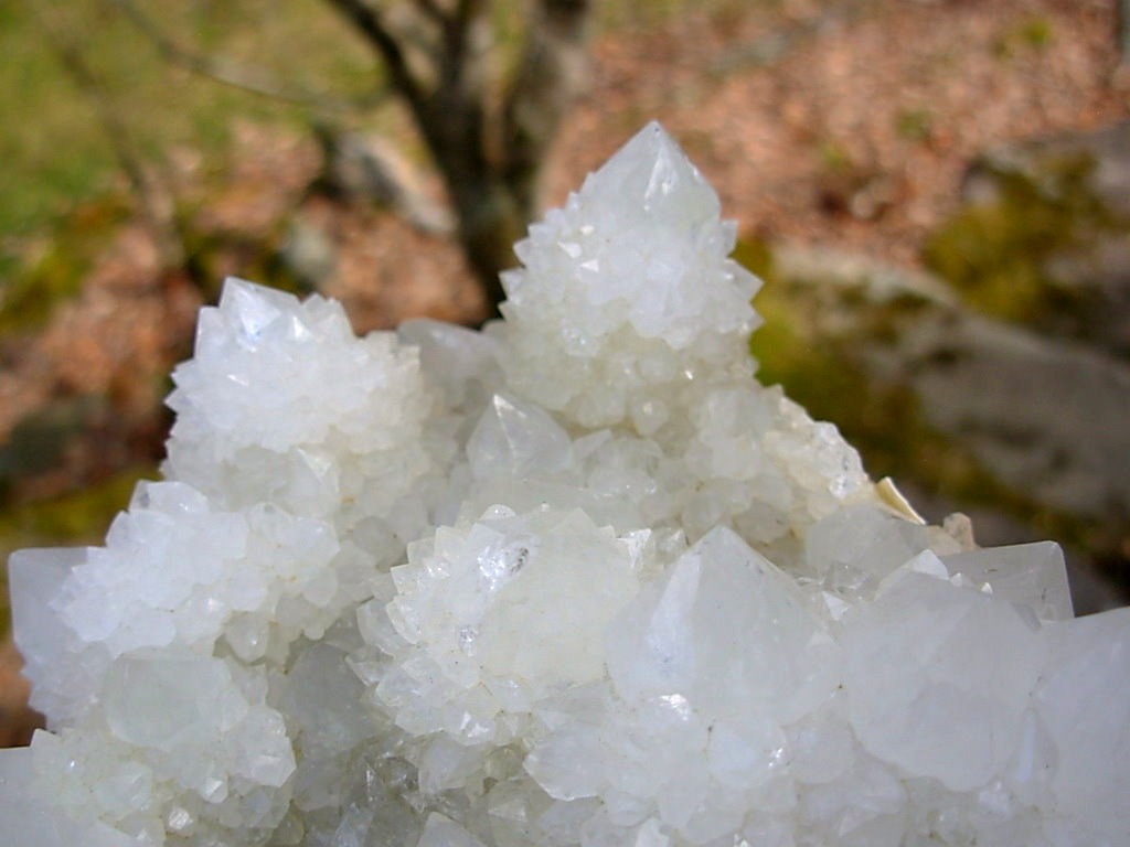 Desirable Large Cabinet White Spirit Cactus Quartz Cluster from KwaNdebele South Africa