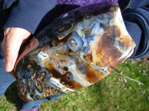 XL Free Form Picasso Agate