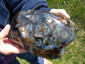 XL Free Form Picasso Agate