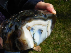 XL Free Form Picasso Agate