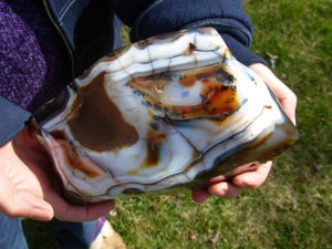 XL Free Form Picasso Agate