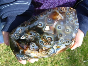 XL Free Form Picasso Agate