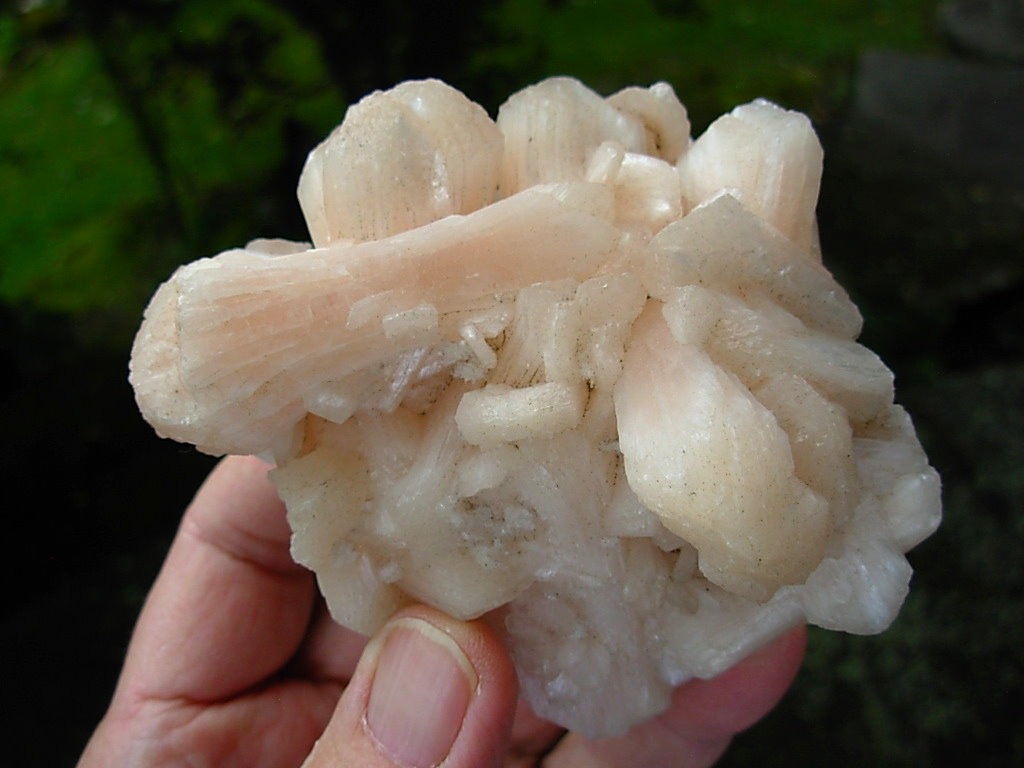 Peach Stilbite Sheafs from Jalgaon, India
