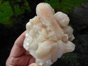 Peach Stilbite Sheafs from Jalgaon, India