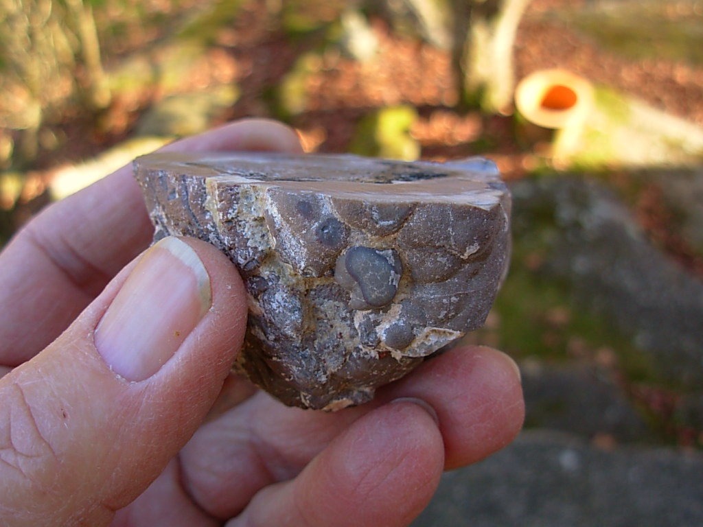Thunder Egg, Lava Cap Claim, Little Florida Mtns., Deming, New Mexico