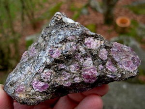 hodolite Garnets in Phlogopite Mica Matrix from NC