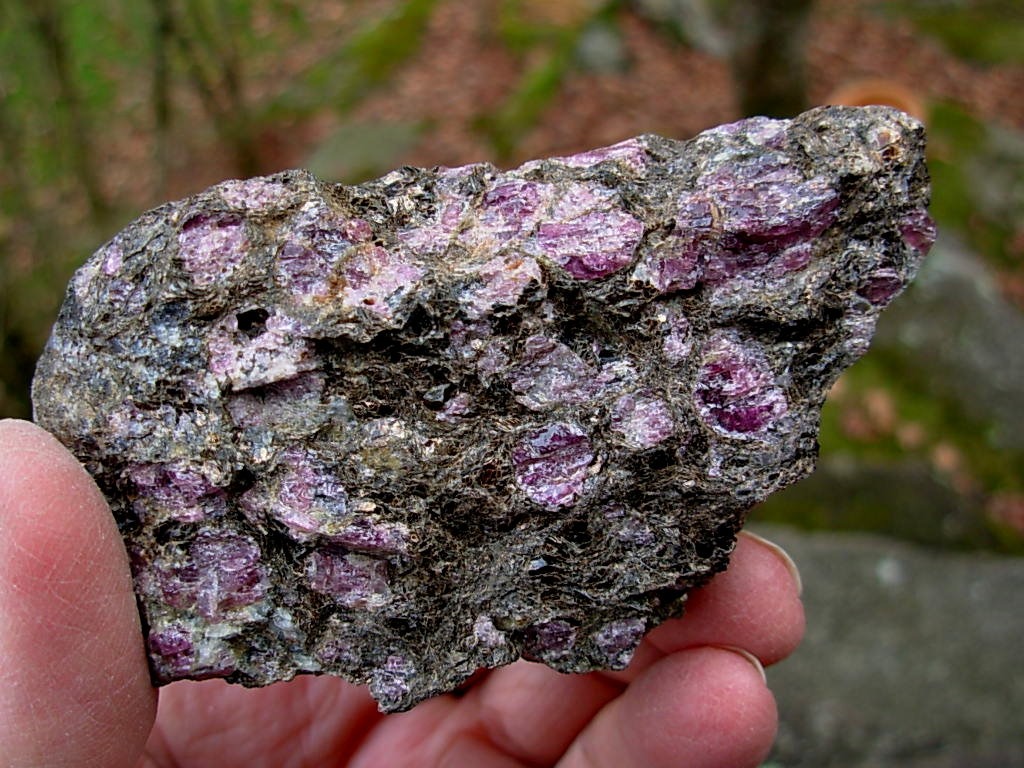 hodolite Garnets in Phlogopite Mica Matrix from NC
