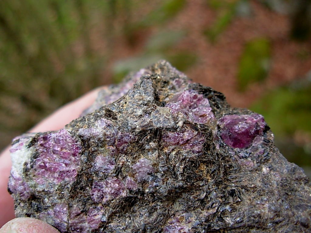 hodolite Garnets in Phlogopite Mica Matrix from NC