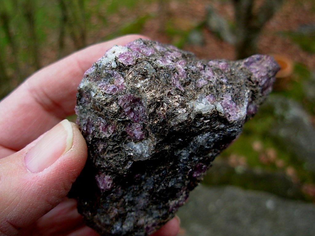 hodolite Garnets in Phlogopite Mica Matrix from NC