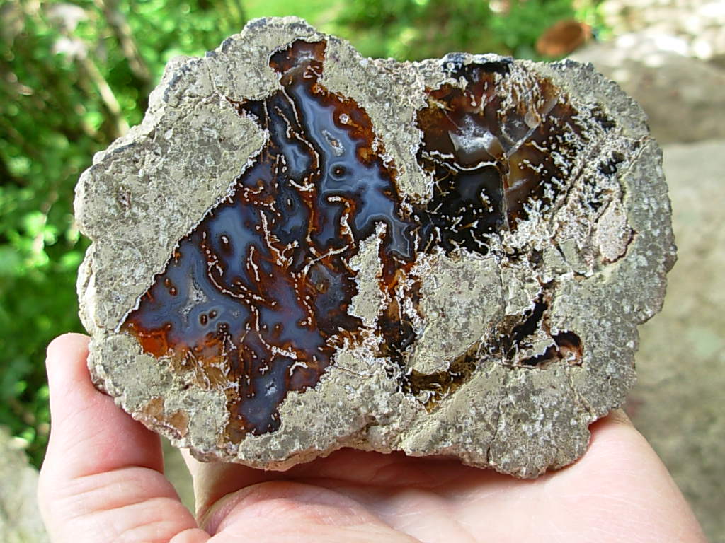 Lucky Strike Mine Thunderegg Polished Half