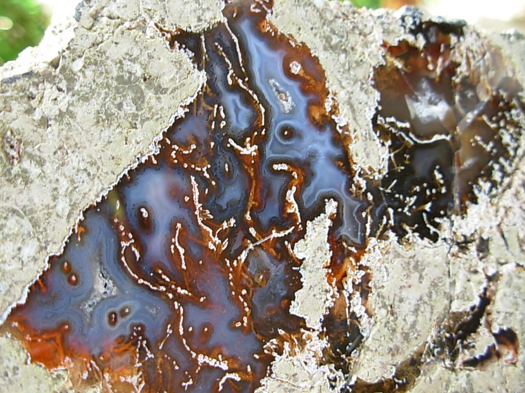 Lucky Strike Mine Thunderegg Polished Half