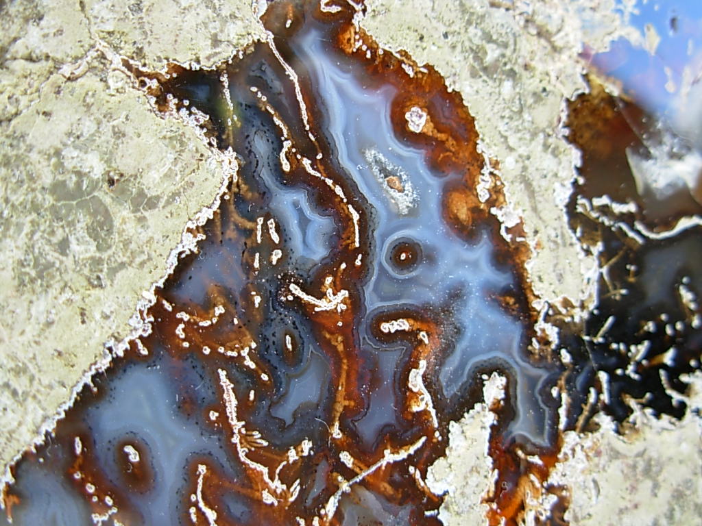 Lucky Strike Mine Thunderegg Polished Half