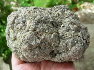 Lucky Strike Mine Thunderegg Polished Half