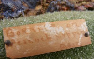 Iridescent Bornite from The Willard Elsing Collection (627g)