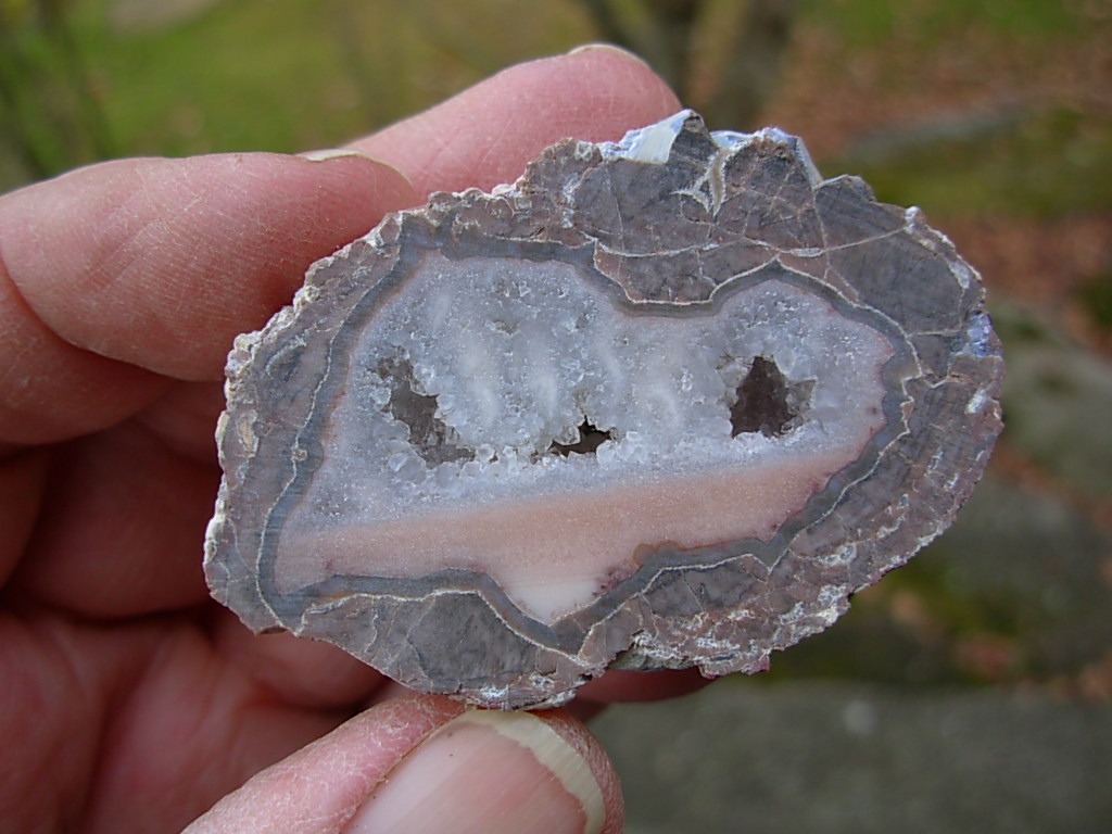 Baker Ranch cut Thunderegg with Pink Opal and Quartz