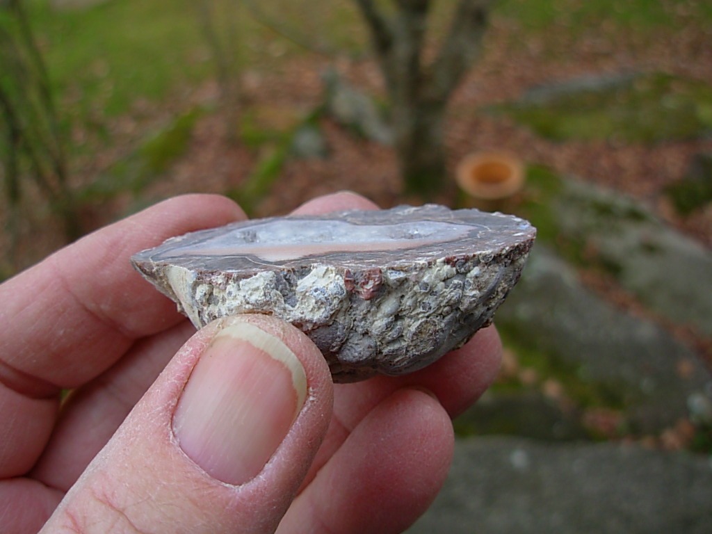 Baker Ranch cut Thunderegg with Pink Opal and Quartz