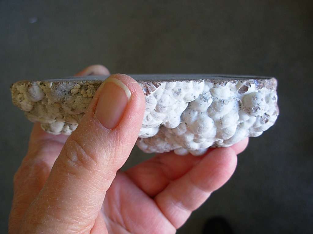 Baker Ranch Double Thunderegg Polished Half