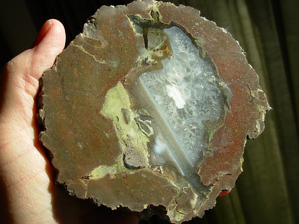 Ochoco Mountain Thunderegg Polished Half