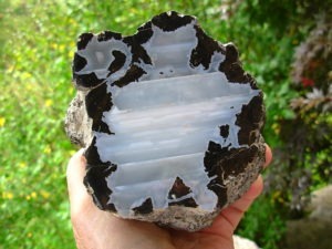 Rare Forgotten Dragon Thunderegg Polished Half