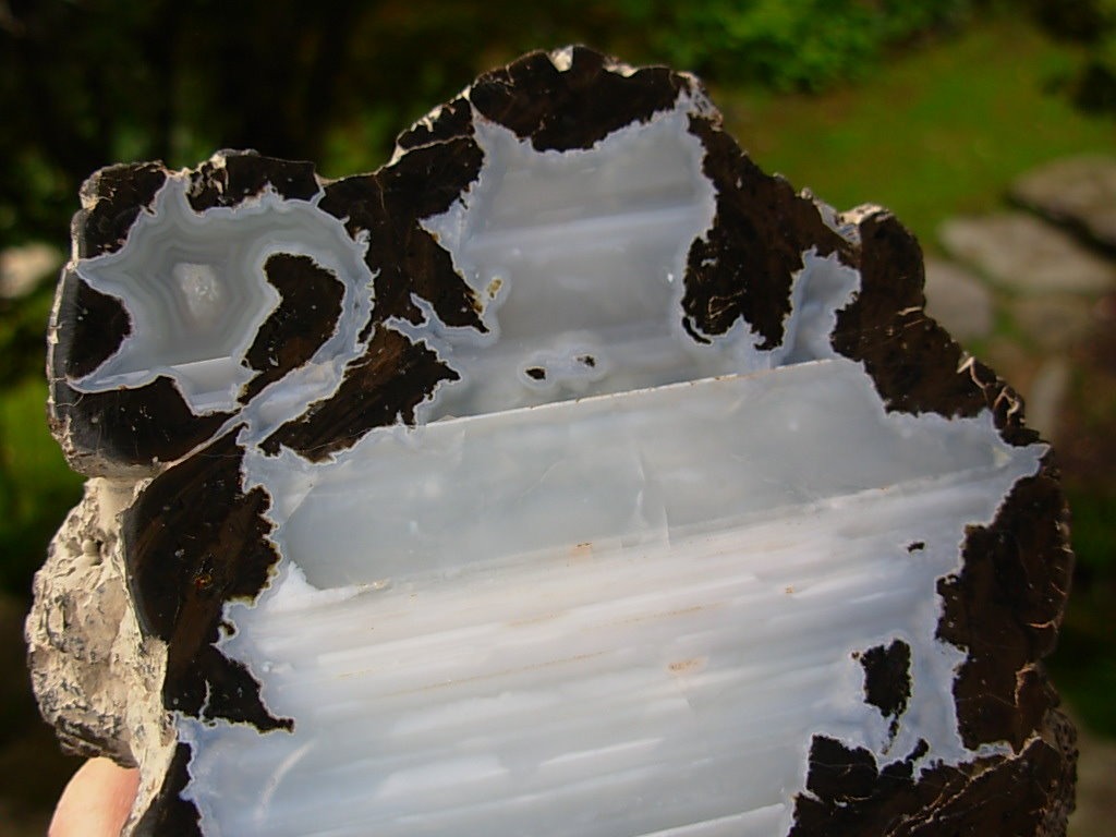 Rare Forgotten Dragon Thunderegg Polished Half