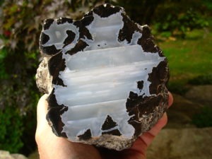 Rare Forgotten Dragon Thunderegg Polished Half