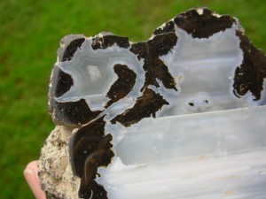 Rare Forgotten Dragon Thunderegg Polished Half