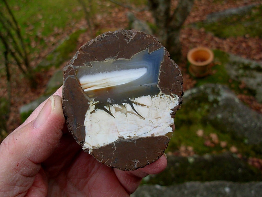 Richardson Ranch Opal and Agate Thunderegg cut Half